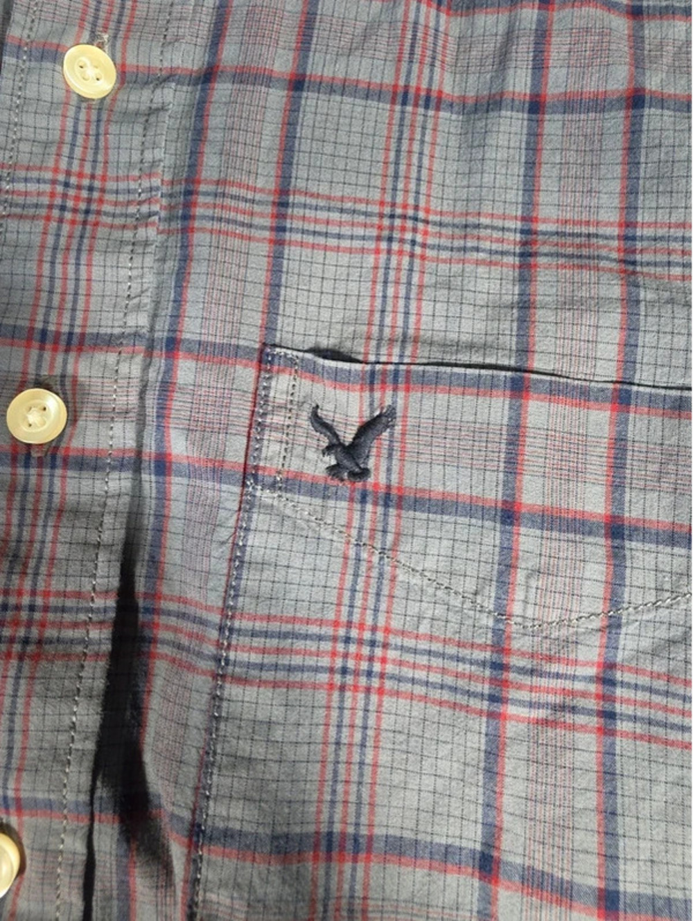 American eagle - Picture 2 of 4